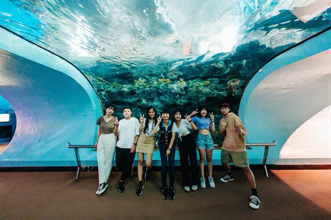 新年将至，屏东海生馆将推出全新沉浸互动体验，同时也将把「迷你解说员」体验活动升级为「迷你解说员亲子营」，并首度延伸至寒假。（屏东海生馆提供／谢佳潾屏东传真）