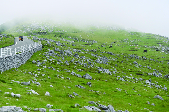 天狗高原(四国喀斯特)。（图 小林贤伍/鲸屿文化提供）