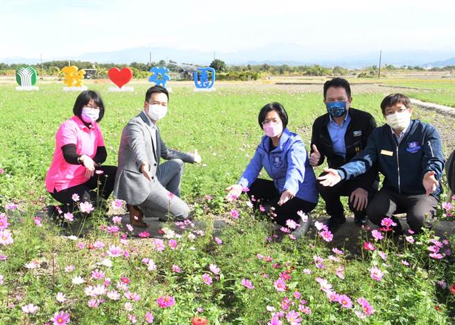 彰化县政府结合8个乡镇市，提出150公顷花海攻略地图，邀情春游来彰化漫游花田赏百花，深入在地风情。（吴敏菁摄）