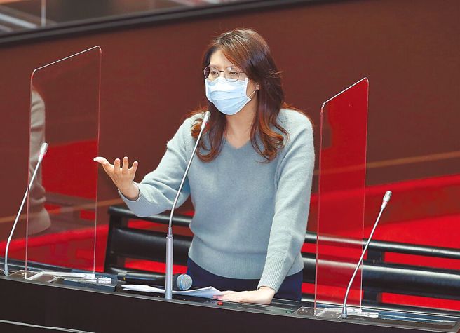 国民党立委郑丽文。（资料照片）