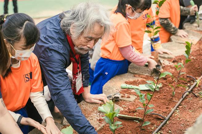 苗栗县新英国小30日在茶田上栽种新茶苗。（台湾好基金会提供／谢明俊苗栗传真）