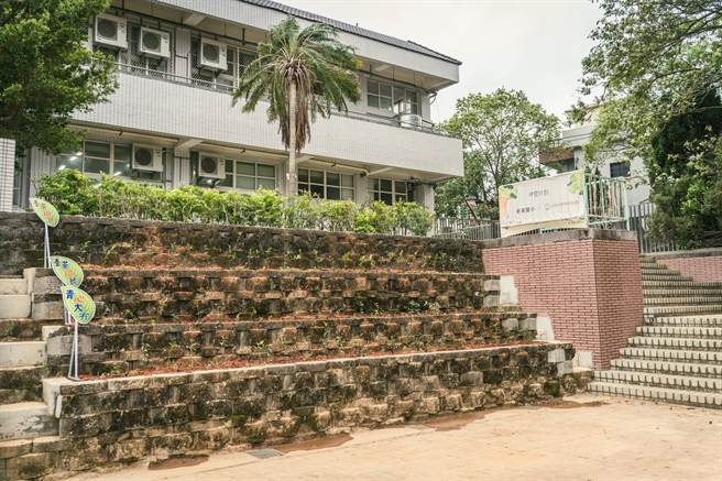 苗栗县新英国小30日在茶田上栽种新茶苗。（台湾好基金会提供／谢明俊苗栗传真）