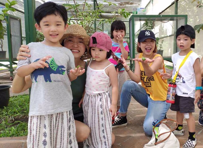 亚泥生态园区，提供竹节虫生态的教学与观赏。(图／亚洲水泥提供)

