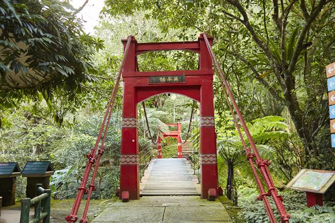 园区内有丰富的自然资源与蕨类生态。（云仙乐园提供）