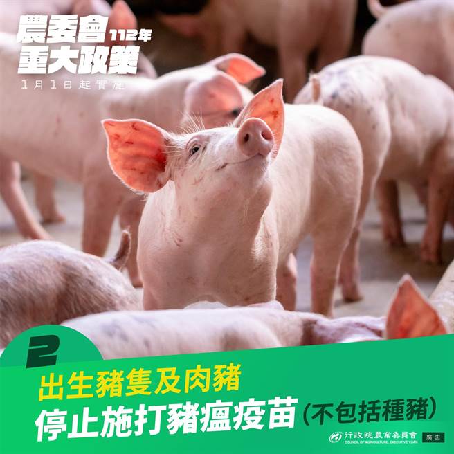 我国业依据产、官、学及研究单位，以科学监测客观条件作为各阶段评估标准，拟定清除猪瘟分期执行策略，经检验结果皆未发现及检出猪瘟野外病毒活动迹象，2023年1月1日起出生猪只及肉猪停止注射猪瘟疫苗(不包括种猪)。（农委会提供）