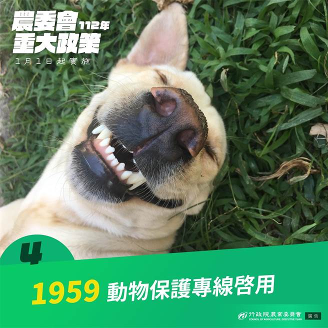 1959简码专线统合全国22县市动物保护主管机关，依据发话地行政区直接转接至地方主管机关，提供民眾动物保护违法案件检举、人犬衝突（犬追车咬人）通报及动物保护政策相关谘询等服务，该专线自2022年12月28日已启用。（农委会提供）