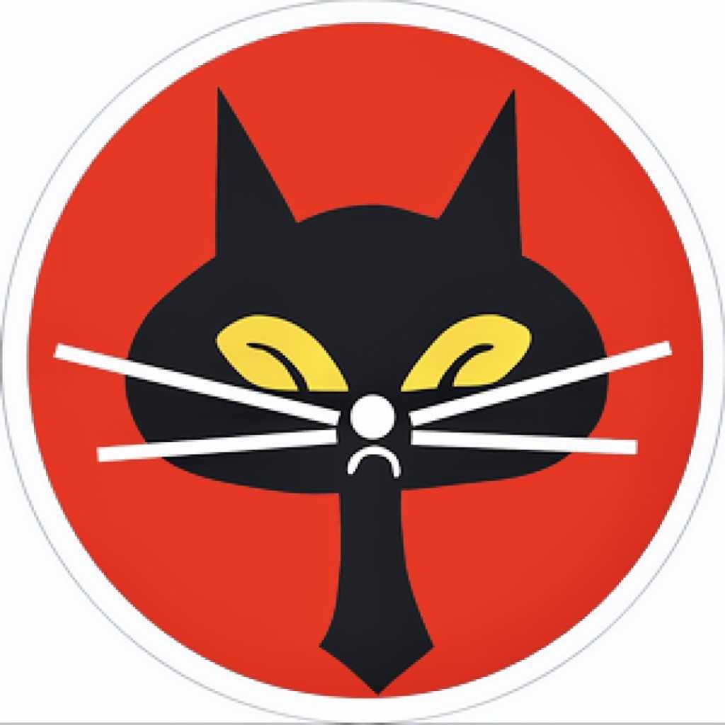 中華民國空軍第三十五中隊隊徽，「黑貓」象徵U-2行動，拂曉而出，天黑而返。（圖文：莊秉漢）