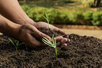 紐約州批准人體堆肥 遺體變成肥料滋養花卉蔬菜