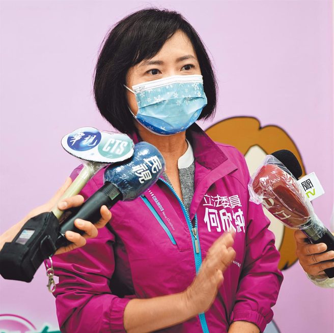 民进党立委何欣纯。（中时资料照／卢金足摄）