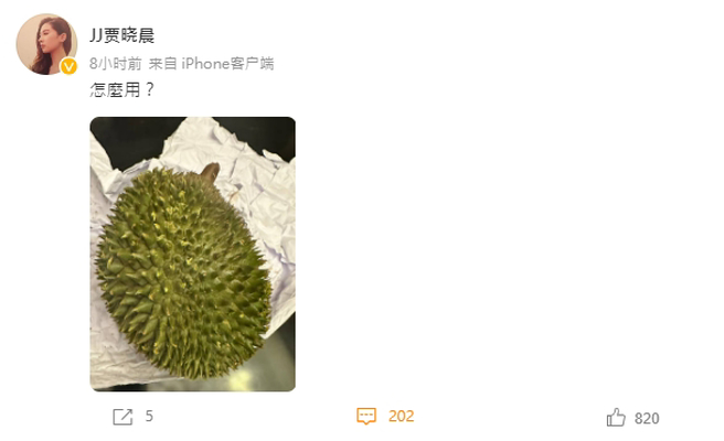 賈曉晨在微博上曬出一張榴槤照。(圖／翻攝自賈曉晨微博)