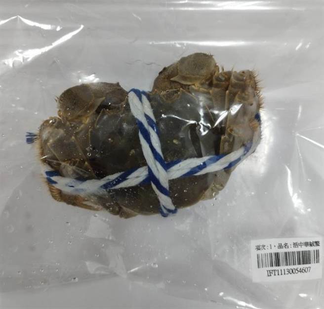 大陆大闸蟹因验出戴奥辛超标，食药署今决定对养殖场实施暂停输入罚则。（食药署提供）