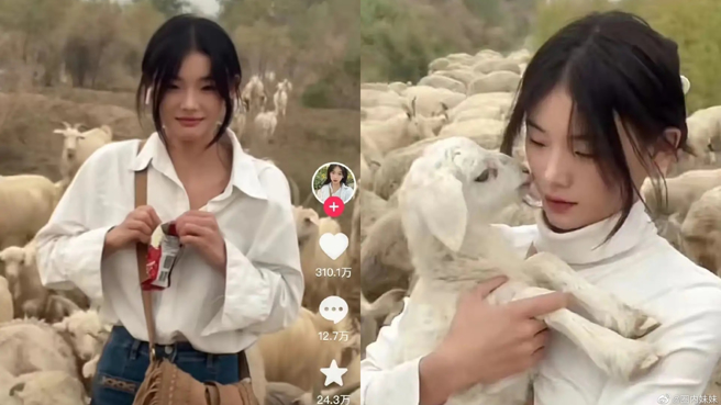 网红「灰太郎的羊」自称被家暴。(图/灰太郎的羊 抖音)