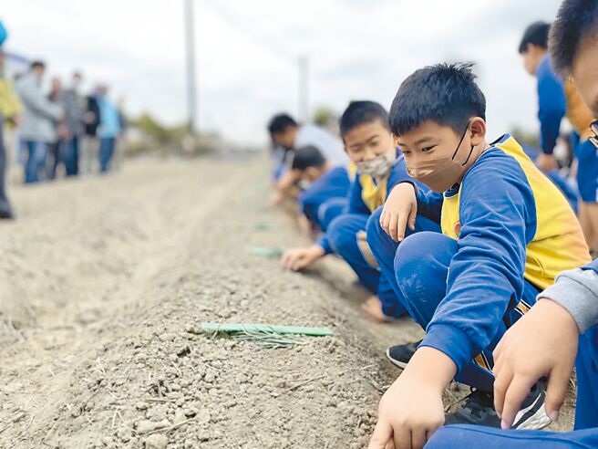 嘉义市育人国小学童体验种花。（嘉义市政府提供／廖素慧嘉市传真）