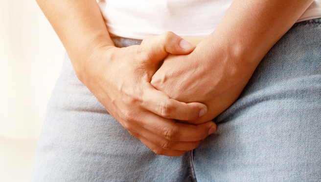 睪丸是男性重要的生殖器官。(示意图/ Shutterstock )
