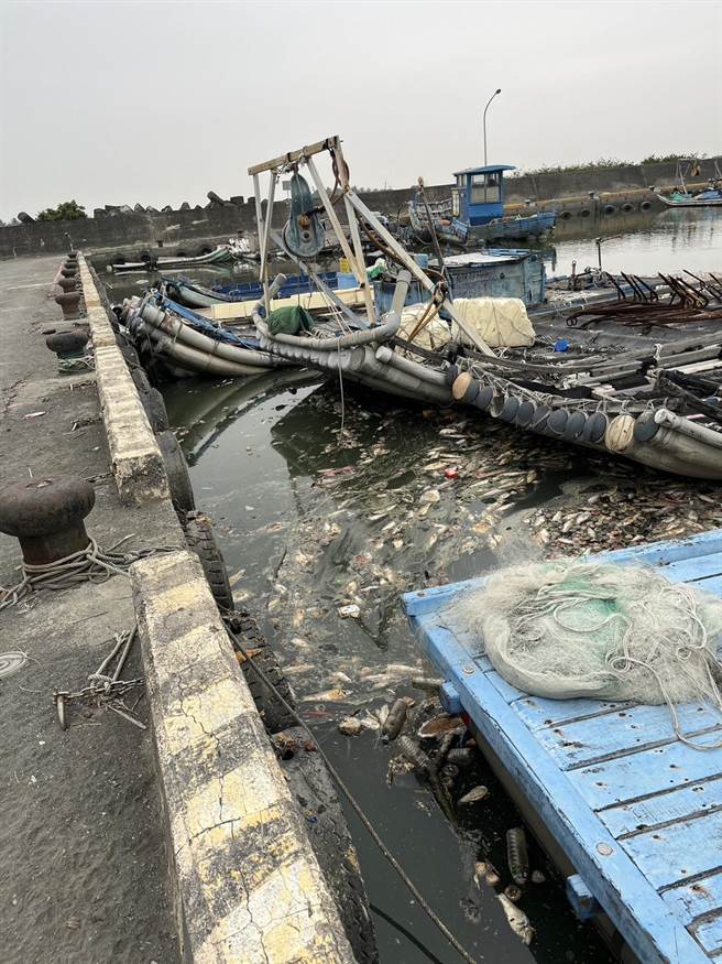 屏东佳冬乡塭丰渔港3日惊见午仔鱼尸横遍野，地方传出是因无法销陆而滞销所致，但县府农业处辟谣，指称是养殖户管理不当造成泛池情形，属单一突发事件。（屏县府提供／谢佳潾屏东传真）