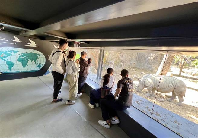 高雄寿山动物园歷经518天整建，去年底重新开园，人潮回流吸引逾8万人朝圣，近日还获得「第22届公共工程金质奖」建筑类佳作。（柯宗纬翻摄）