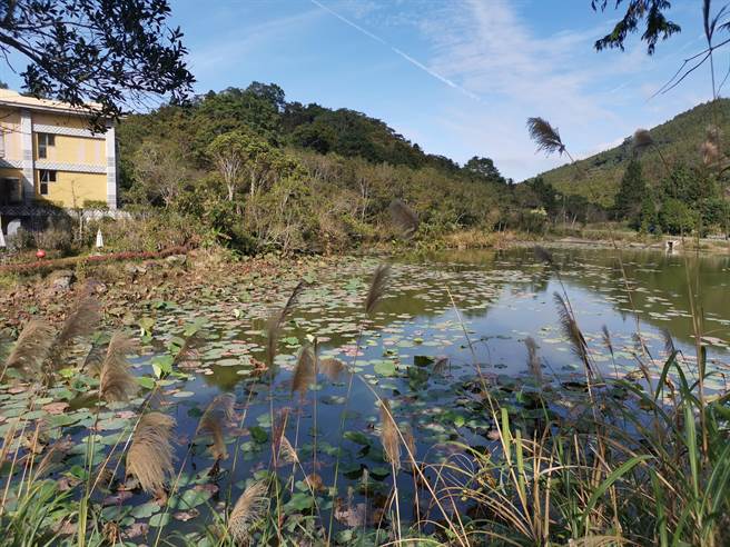 苗栗县原住民保留地禁伐补偿金，即日起开始受理申请。（谢明俊摄）