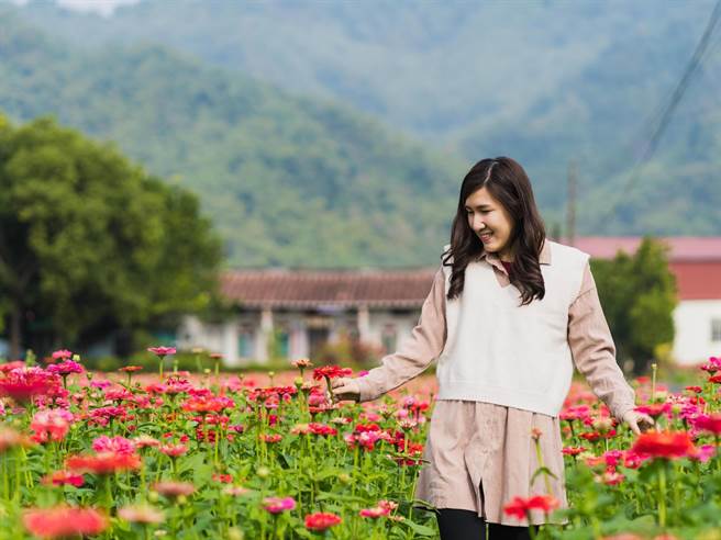 名声远播的高雄市美浓区花海，每年农历春节吸引不少游客到访，2023年花海将于1月9到1月29日缤纷登场。(美浓区公所提供／林雅惠高雄传真)