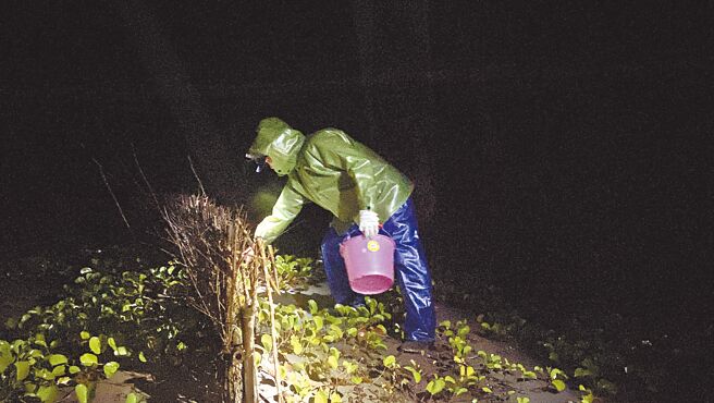 人稱「阿樹哥」的黃逸樹為尋找螃蟹橫行的兒時記憶，2年前回到宜蘭縣蘇澳大坑罟社區，與志工組成「蟹調小組」調查螃蟹生態。（吳佩蓉攝）