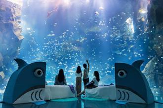 COZZI Blu和逸飯店桃園館聯手Xpark再出擊 「島嶼夢遊」體驗星級海洋系夜宿