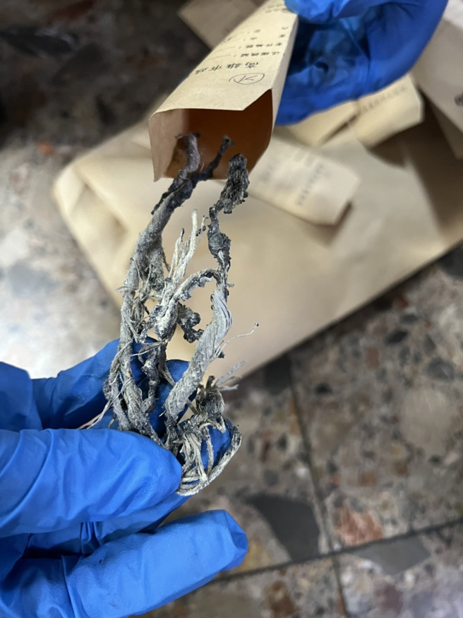 叶男利用自制「汽油弹」烧邻居，警方在现场发现汽油弹碎片及引信。(戴志扬翻摄)