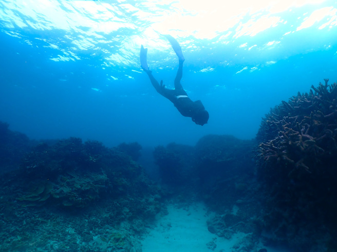 「勇往直潜-自由潜水发展与挑战」，本月6日广邀产官学界共襄盛举，此为我国首次以自由潜水为主题之论坛。(戴志扬翻摄)