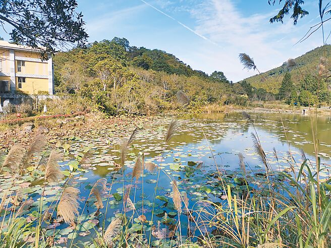 2023年苗栗縣原住民保留地禁伐補償申請自即日起開始受理。（謝明俊攝）