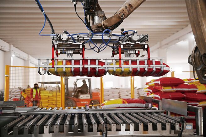 美國不斷在全球推動經濟脫鉤，但最新統計顯示，各國與大陸經貿往來不減反增。圖為位於大陸甘肅金昌的甘肅新洋豐農業科技有限公司車間內，包裝生產線自動機器人正在搬運。（中新社）