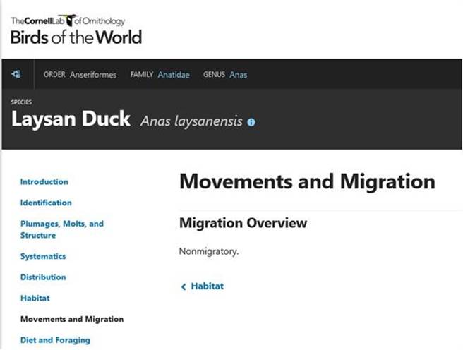 美国康乃尔鸟类研究室的线上全球鸟类图志，说明雷仙岛鸭不具备迁徙能力。（花莲县府提供／王志伟花莲传真）