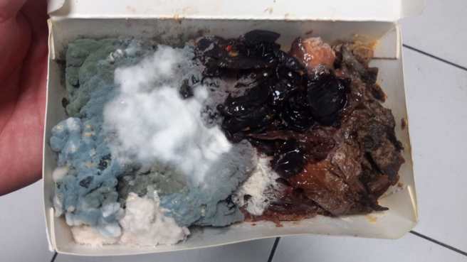 一名网友日前发现公司冰箱有个「陈年便当」，打开一开内部布满青绿色、白色的菌丝，乍看像是棉花糖，而公司内完全没人敢承认是自己的便当。（翻摄自脸书「爆怨公社」）