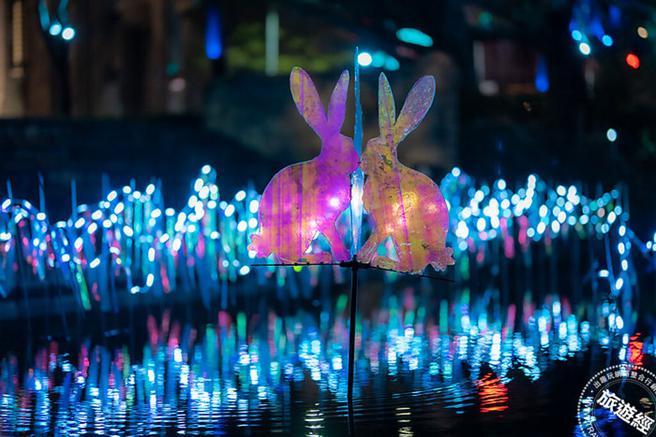 藝術家陳昱榮打造「層聚光合」作品，透過大量光影線條的疊合，形塑出交疊的視覺暫留畫面。（圖／旅遊經提供）