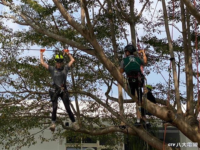 李懿挑战三米高空攀树。（八大提供）