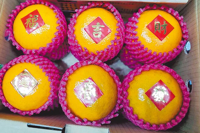 每年1月、2月收成的茂谷柑是雲林縣年節特產。（周麗蘭攝）