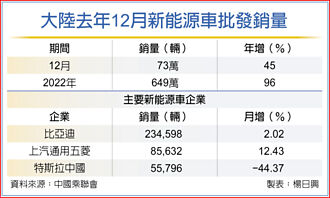 特斯拉中國去年12月銷量 慘摔