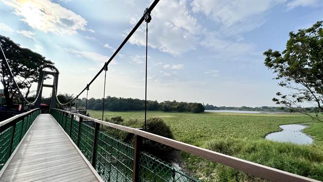 久旱不雨，后壁小南海风景区埤池近乾涸、长青草。（张毓翎摄）