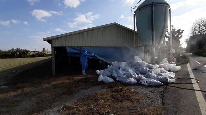 雲林縣臺西鄉1黑羽土雞場（8週齡，6480隻）、嘉義縣六腳鄉1古早雞場（8週齡，6936隻）及臺南市佳里區1肉鵝場（7週齡，1088隻）確診H5N1亞型高病原性禽流感（HPAI），已依標準作業程序完成該等禽場撲殺銷毀作業。（動植物防疫所提供／林良齊台北傳真）
