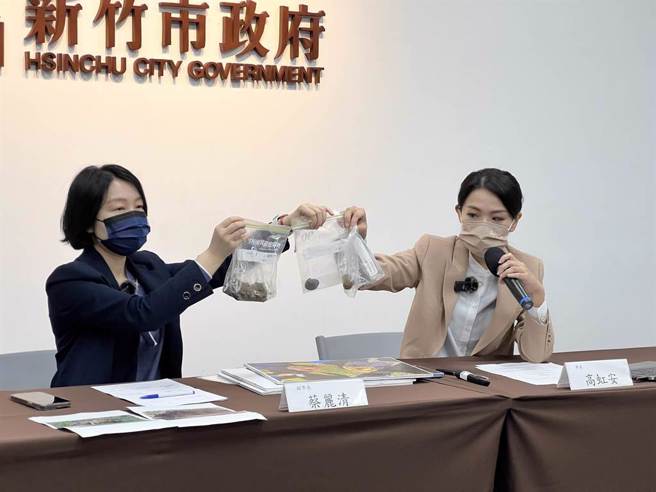 新竹市長高虹安（右）5日表示，會勘新竹棒球場過程中，為了解決排水問題隨機挖取淺層土壤，竟發現廢棄磚頭、石頭和電線。（資料照，王惠慧攝）