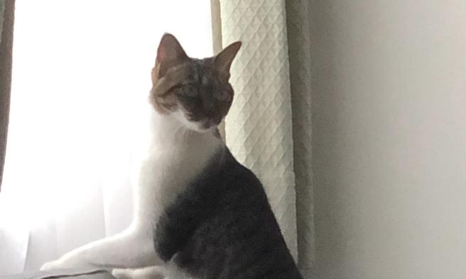 朱国珍》爱是免费的，感激是关键。（图／爱传媒）