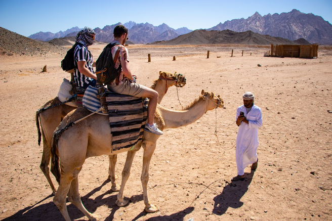 外國一對夫妻到中東國家旅遊，體驗騎駱駝活動，未料駱駝疑似不堪負荷，剛站起來就癱軟跪地。(示意圖/達志影像)