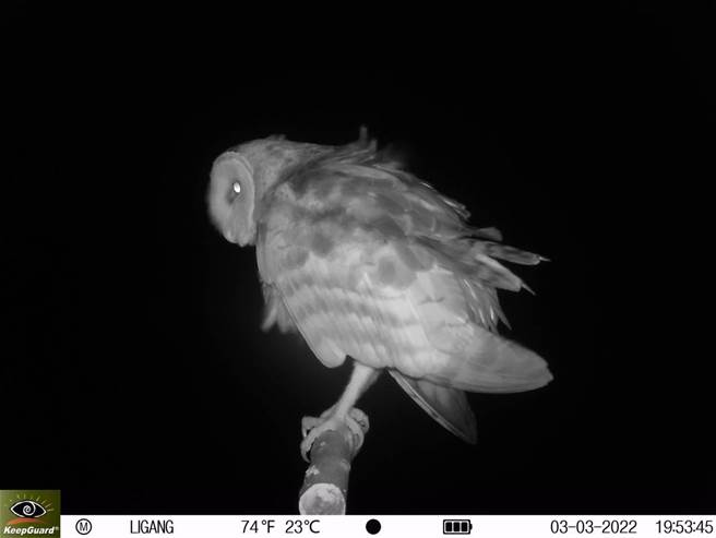 官學研推動草鴞保育，高屏農友響應參與生態給付。(屏東林管處提供)