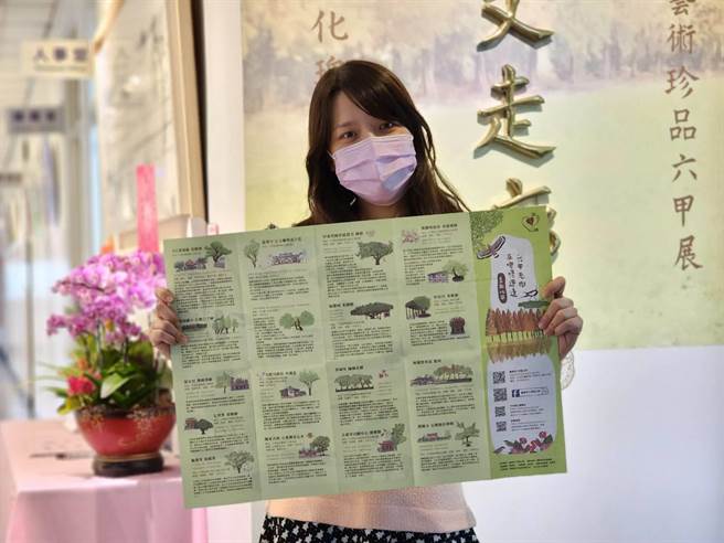 地圖中穿插六甲代表古廟、建築、埤塘、鳥類等，讓民眾走訪老樹地點之餘，亦能順便遊賞附近景點。（六甲區公所提供／張毓翎台南傳真）