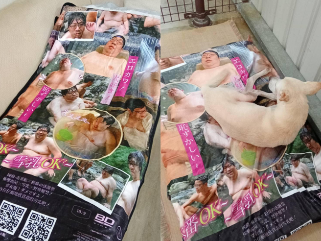 毛孩溫暖的躺在照片清涼的國動雪乳毛毯上，畫面相當反差。（翻攝自台中市世界聯合保護動物協會臉書）