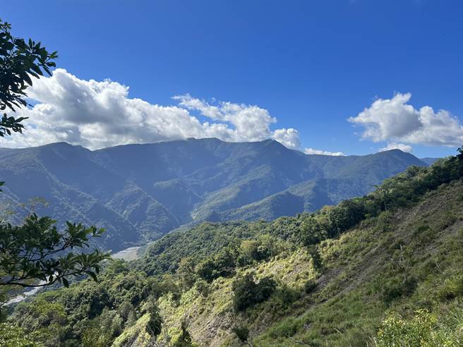 大武山自然保留區景觀。（台東林管處提供／蔡旻妤台東傳真）