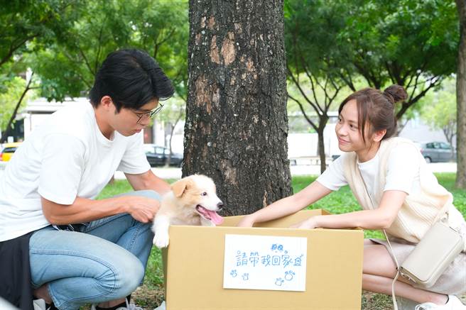 張耀仁（左）和黃姵嘉（右）領養木村樹。（華視提供）