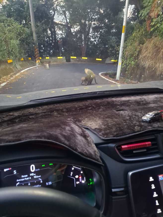 網友好奇狂問，原PO最後究竟等了多久才能離開？（圖／翻攝自爆廢公社）