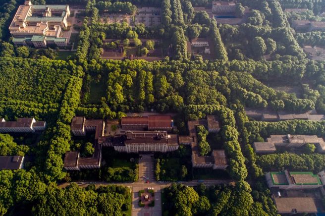 武汉的「南方小清华」华中科技大学有530公顷，以「森林大学」着称。（取自华中科技大学官网）