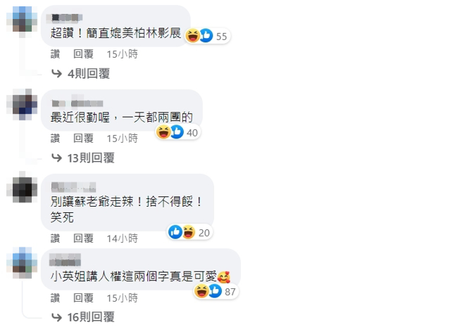 脸书网友留言。（图／截自蔡英文脸书）