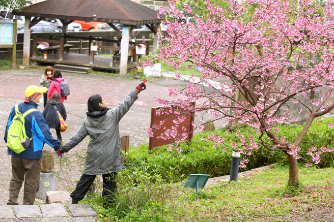 春节10天连假前半段天气出炉。图为民眾走春。(资料照)