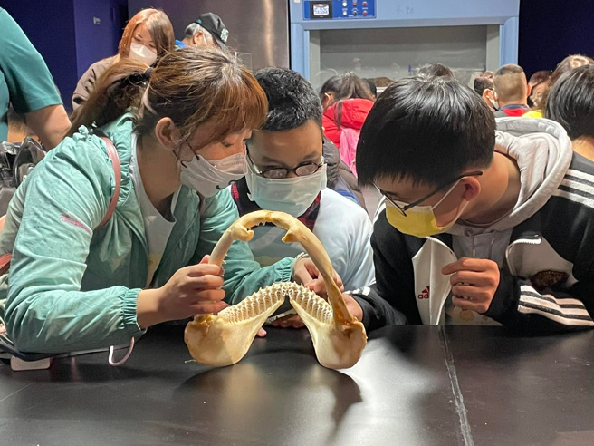 透过细心讲解与触摸，和视障同学用双手触摸、用心感受下，翩然跃入孩子的想像世界。(照片/台北启明学校提供)