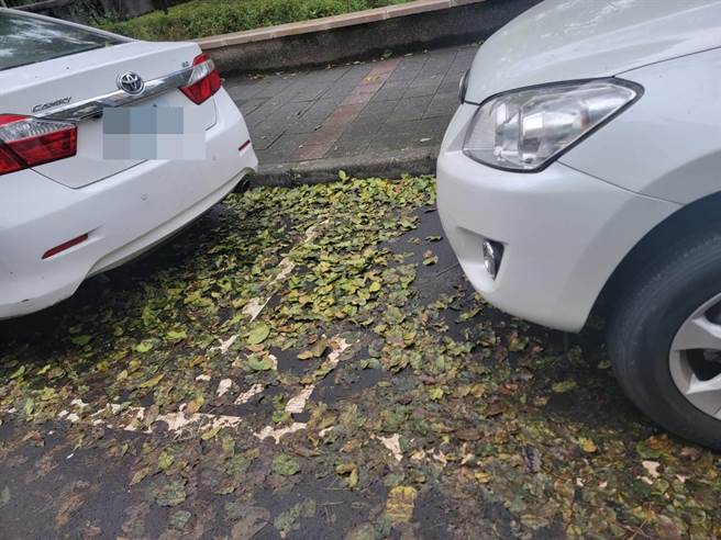 王欣仪指出，文山区兴业里里长凌锦成向她陈情，兴隆公园周边道路已多日未扫。（王欣仪办公室提供／李奇叡台北传真）